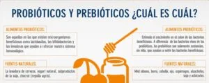 probioticos y prebioticos