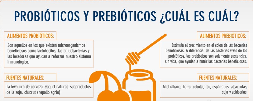 probioticos y prebioticos